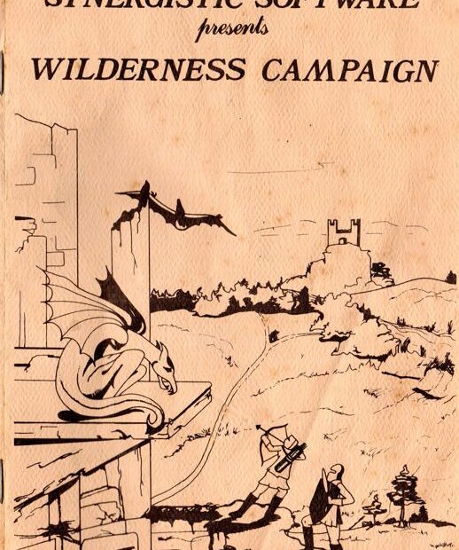 Download Wilderness Campaign